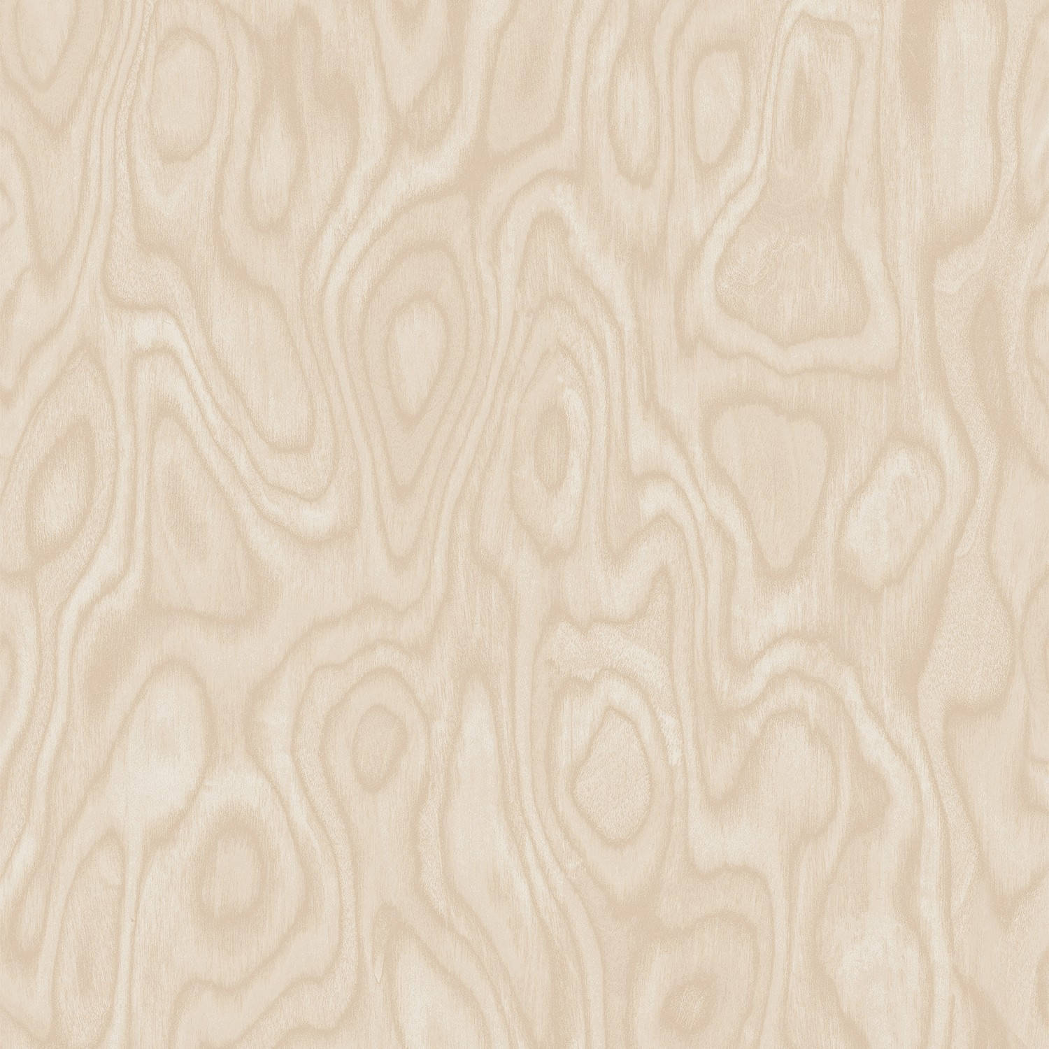 Plain Beige Wallpaper