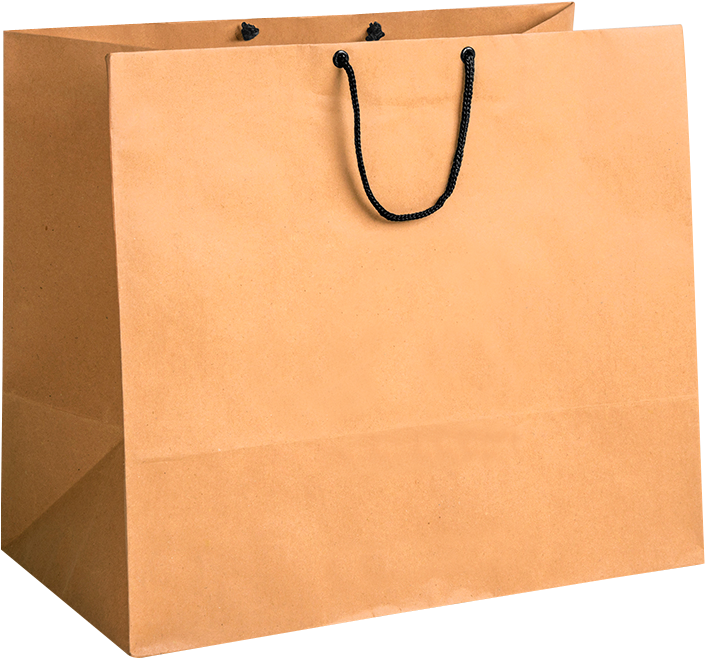 Plain Brown Paper Shopping Bag PNG