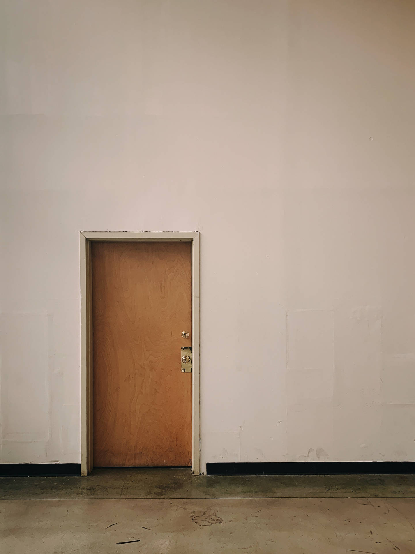 Einfachebraune Holztür In Einem Bauwerk Wallpaper