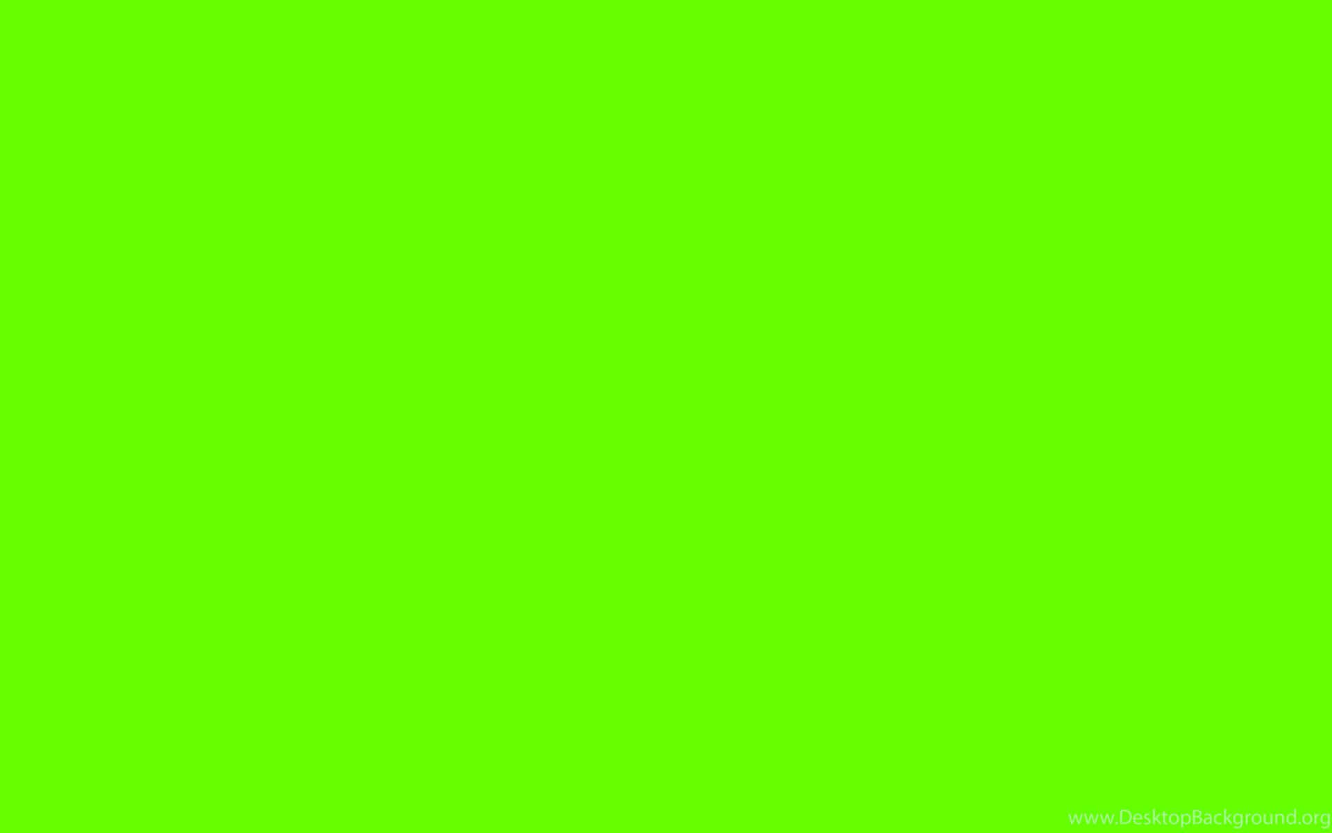 Download Plain Neon Green Color Computer Wallpaper 