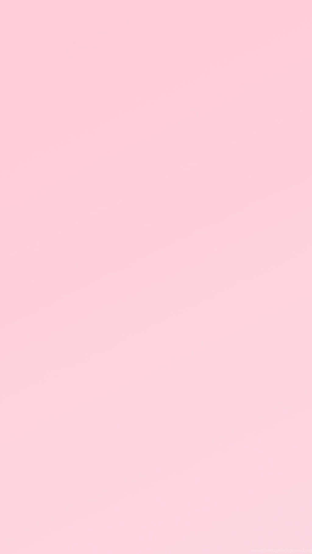 A Plain, Crisp Light Pink Background