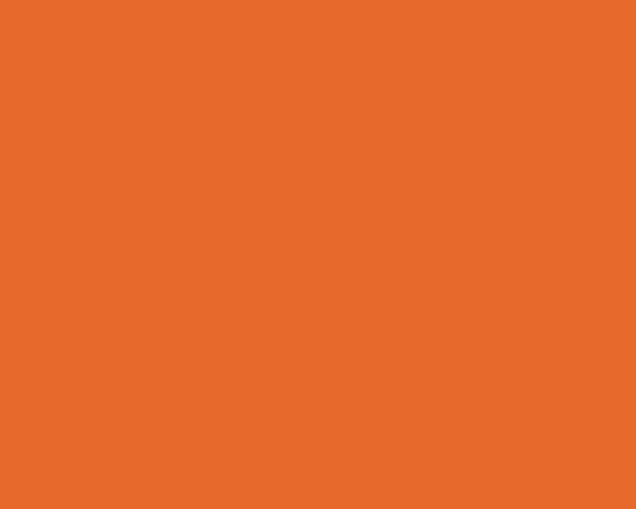 A Bright, Punchy Plain Orange Background Wallpaper
