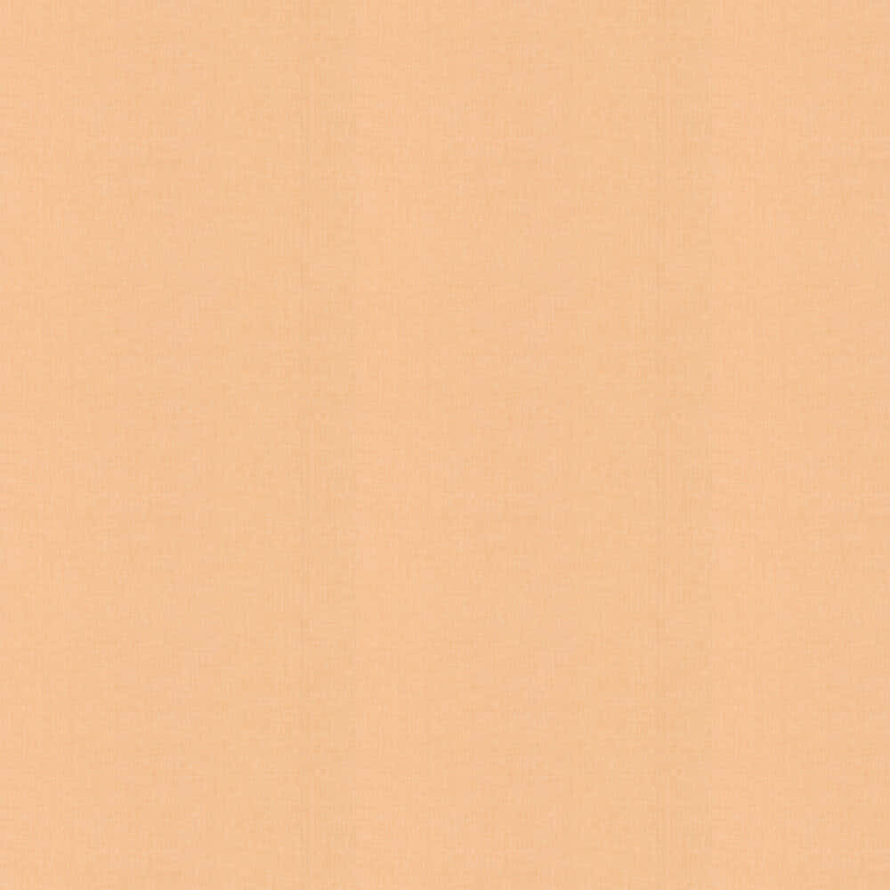 Plain, bold,&orange Wallpaper