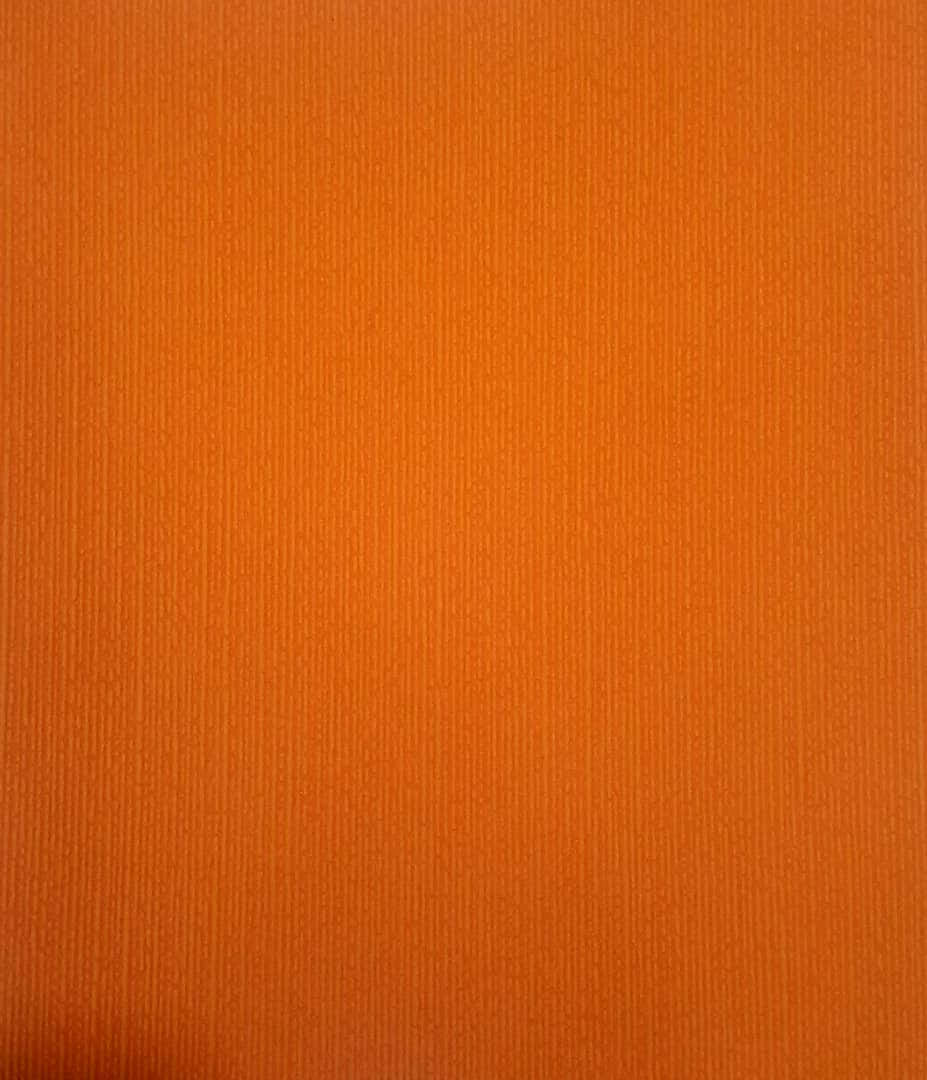 A burst of vibrant yet calming orange against a backdrop of blue Wallpaper