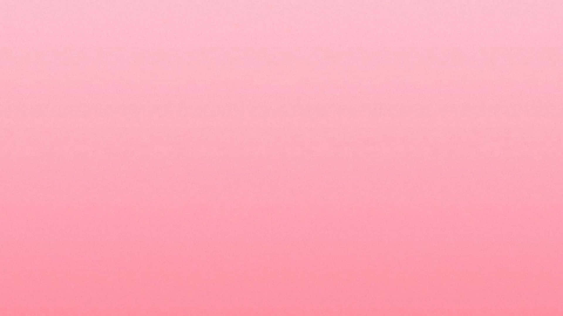 A Plain Pink Desktop for Your Home Office Wallpaper