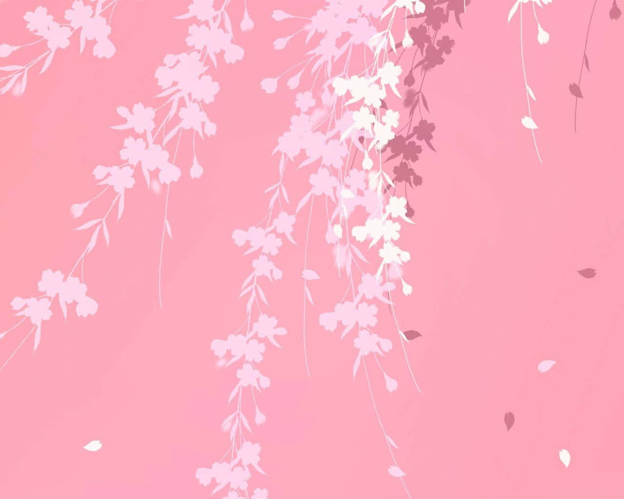 Vibrant Plain Pink Desktop Wallpaper