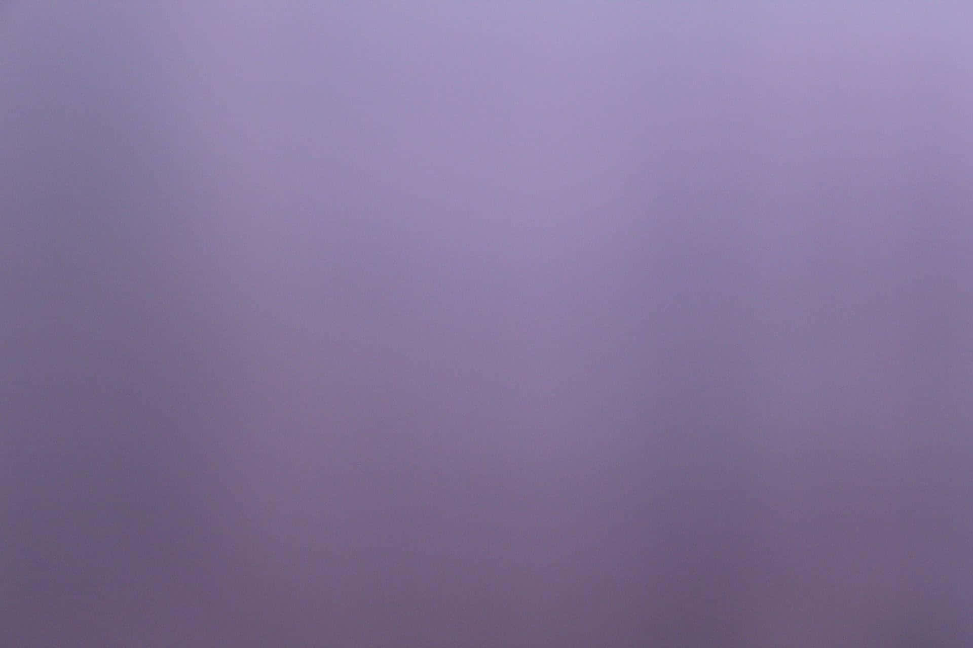 Plain Purple Background