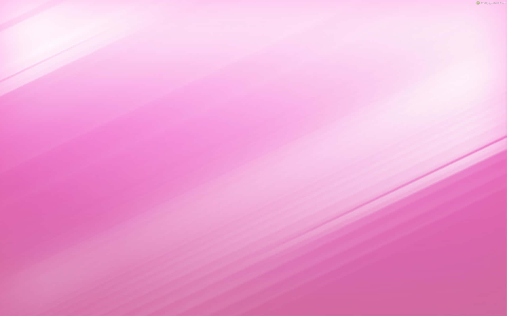 Pink Plain Zoom Background Digital Illustration
