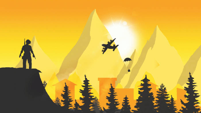 Flugzeug,das Über Dem Wald Fliegt - Pubg-banner Wallpaper