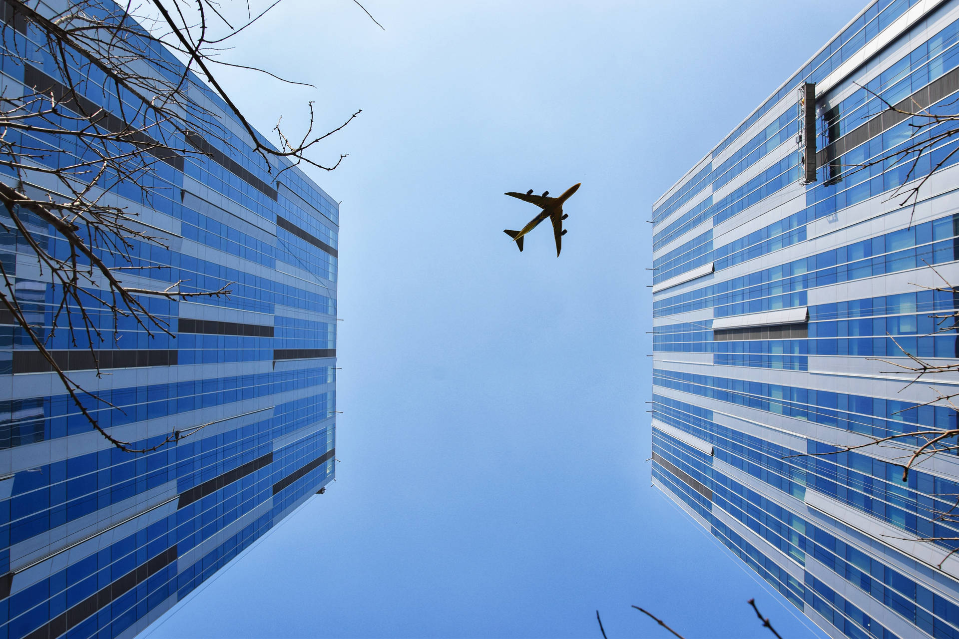 Plane Flying Through City Wallpaper