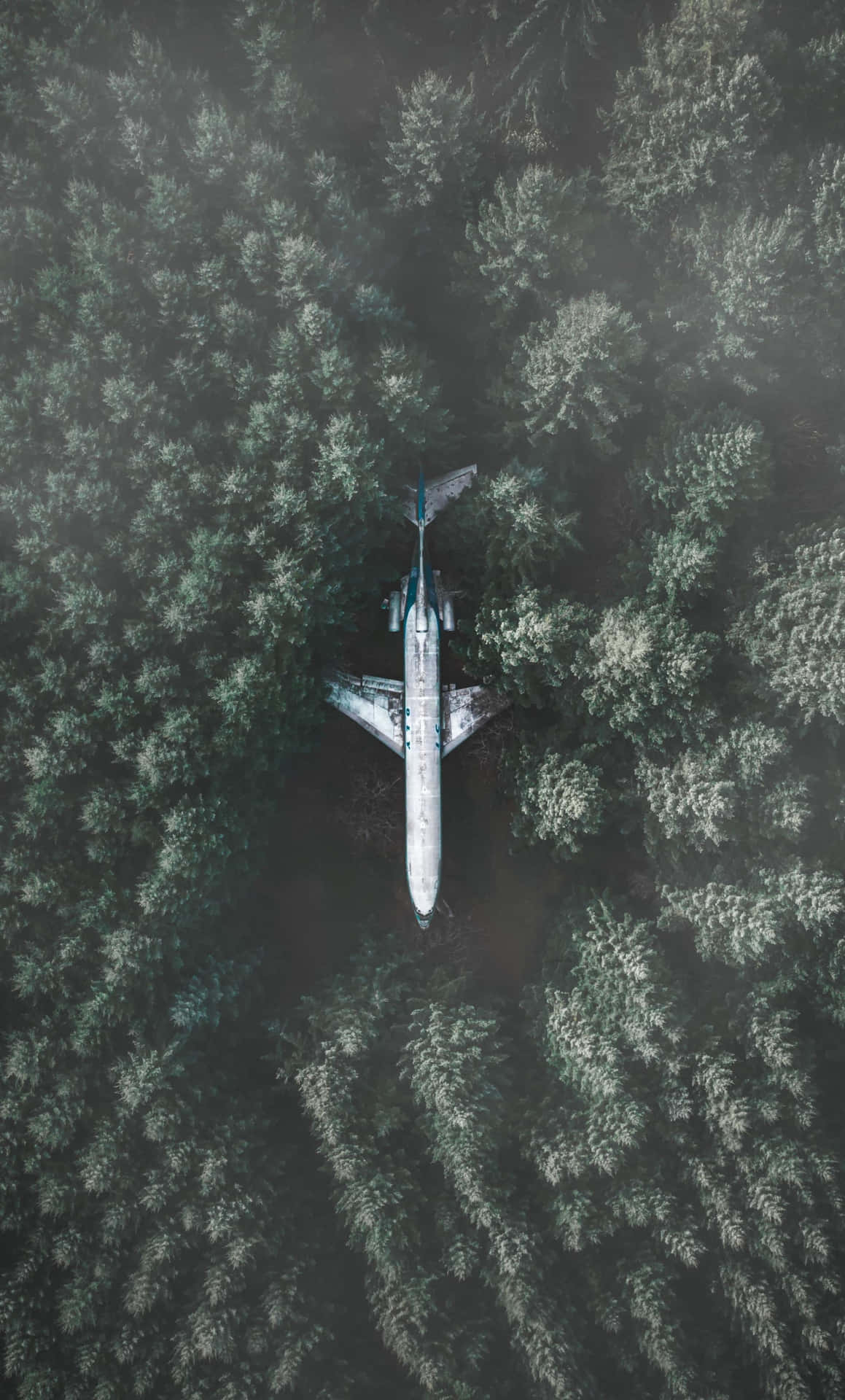 A plane taking off from the runway Wallpaper