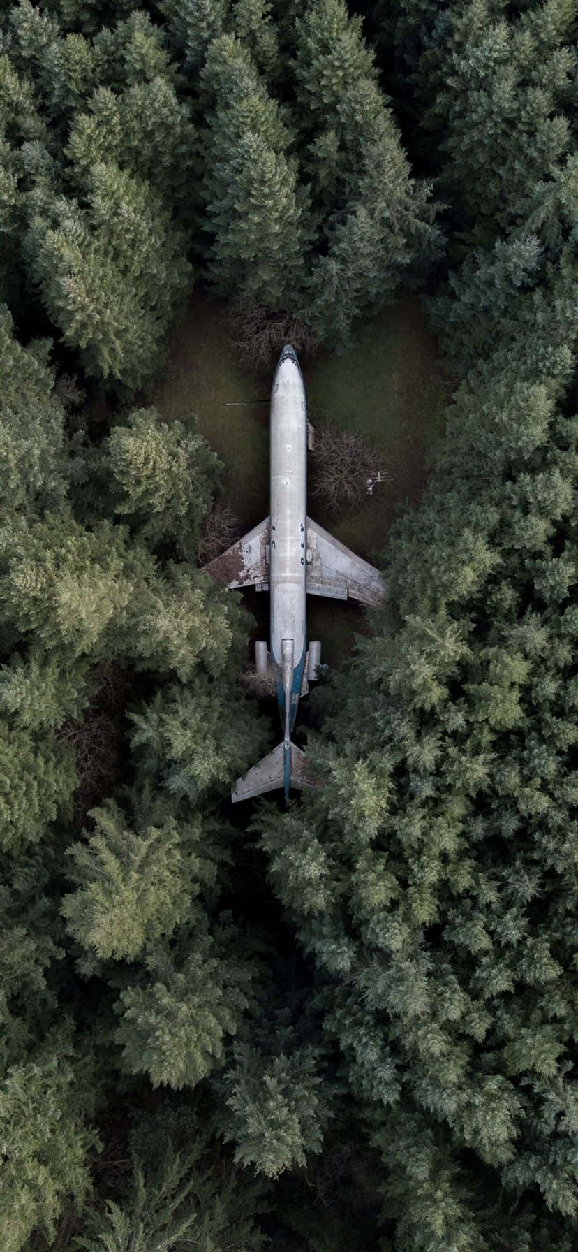 Einweißes Flugzeug Im Flug Vor Einem Blauen Himmelhintergrund Auf Einem Iphone. Wallpaper