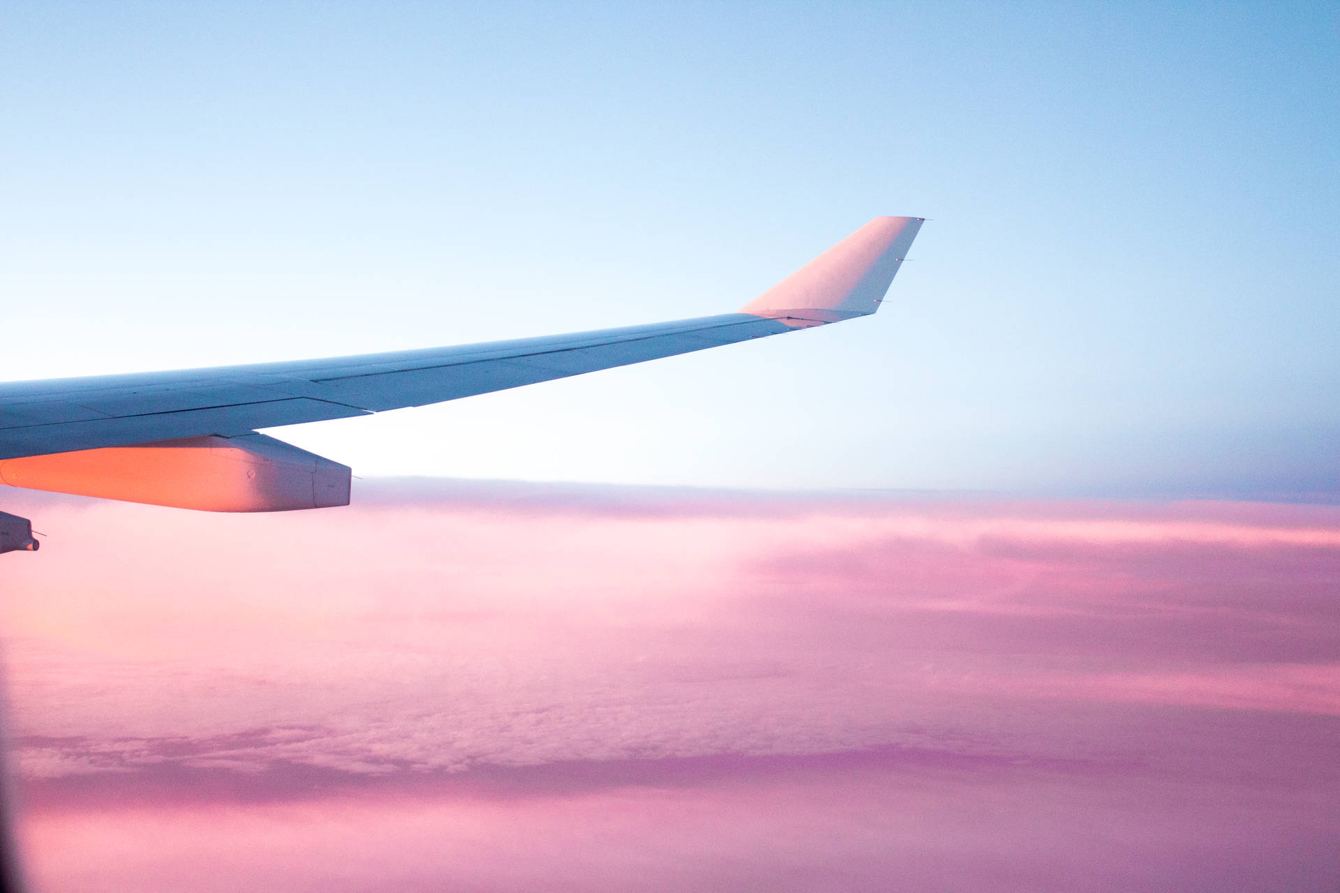 Plane Wing In Pink Sky