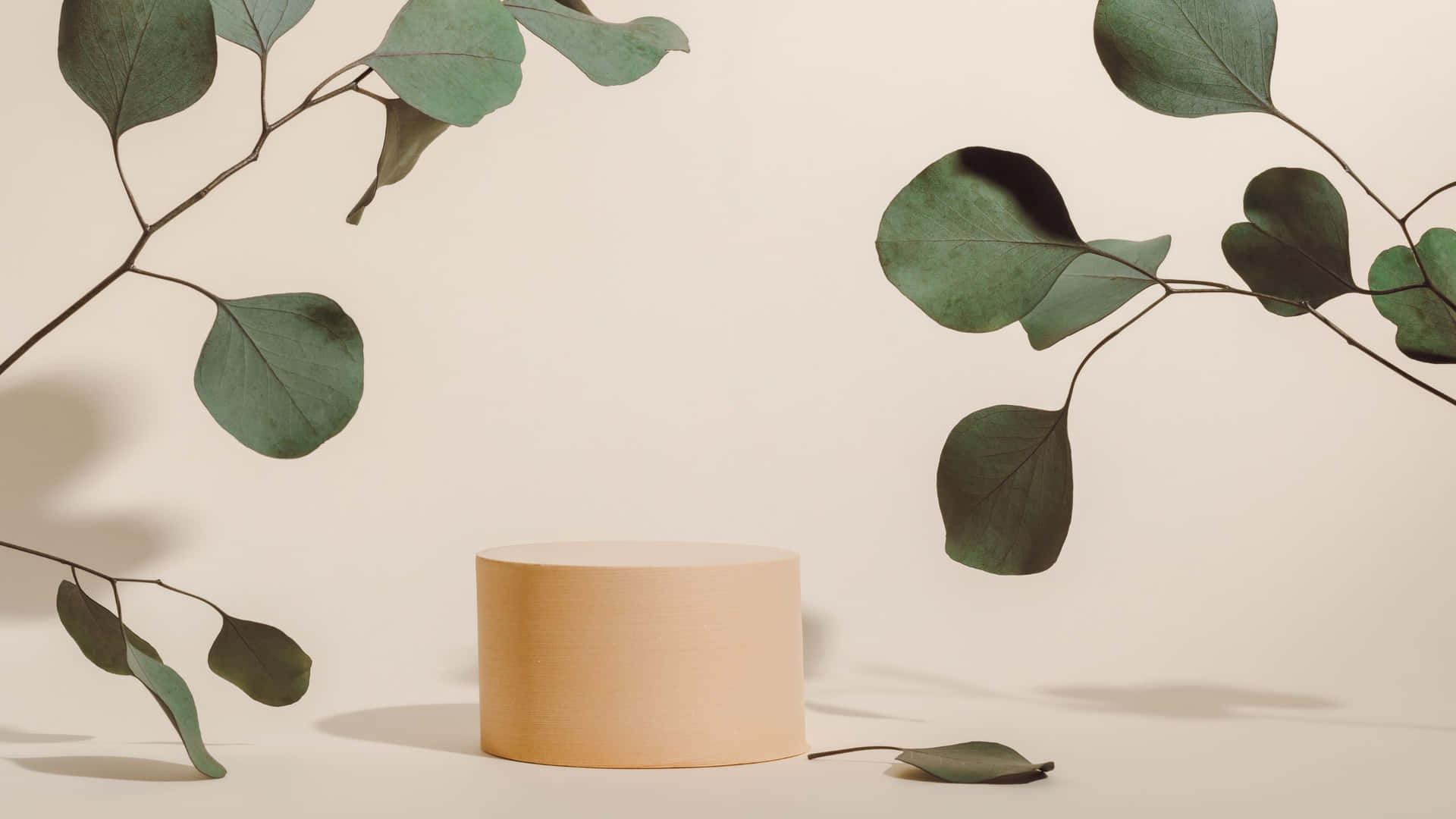 A Cylinder With Eucalyptus Leaves On It Wallpaper