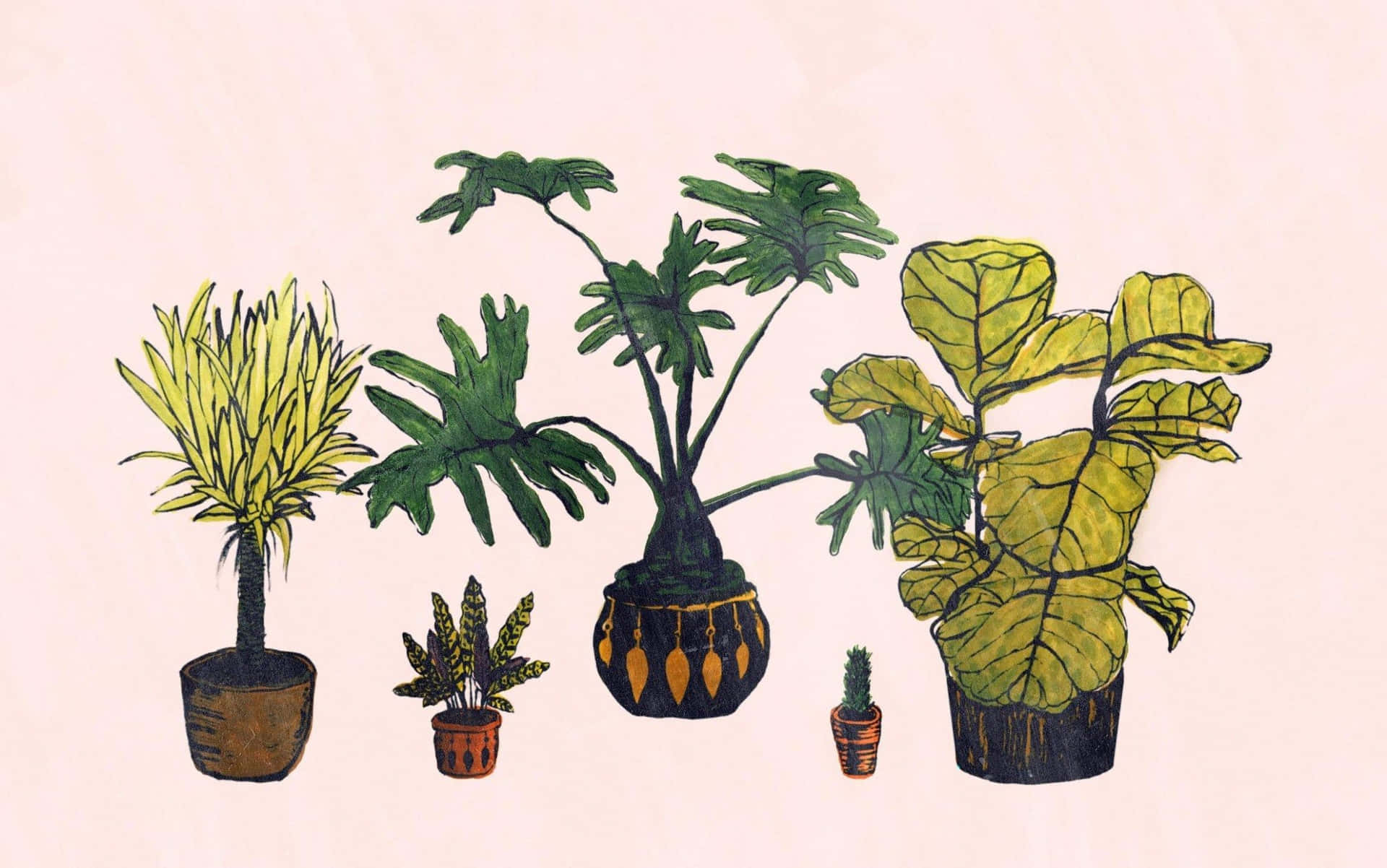 A Drawing Of A Group Of Plants In Pots Wallpaper