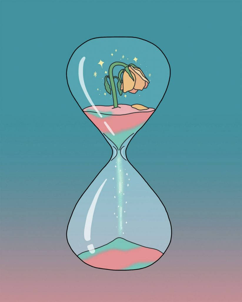 Plant Life In An Hourglass Wallpaper