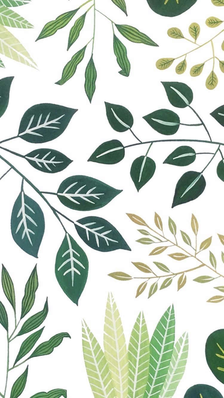 Digital Painting Of Different Leaves Of Plant Phone Wallpaper