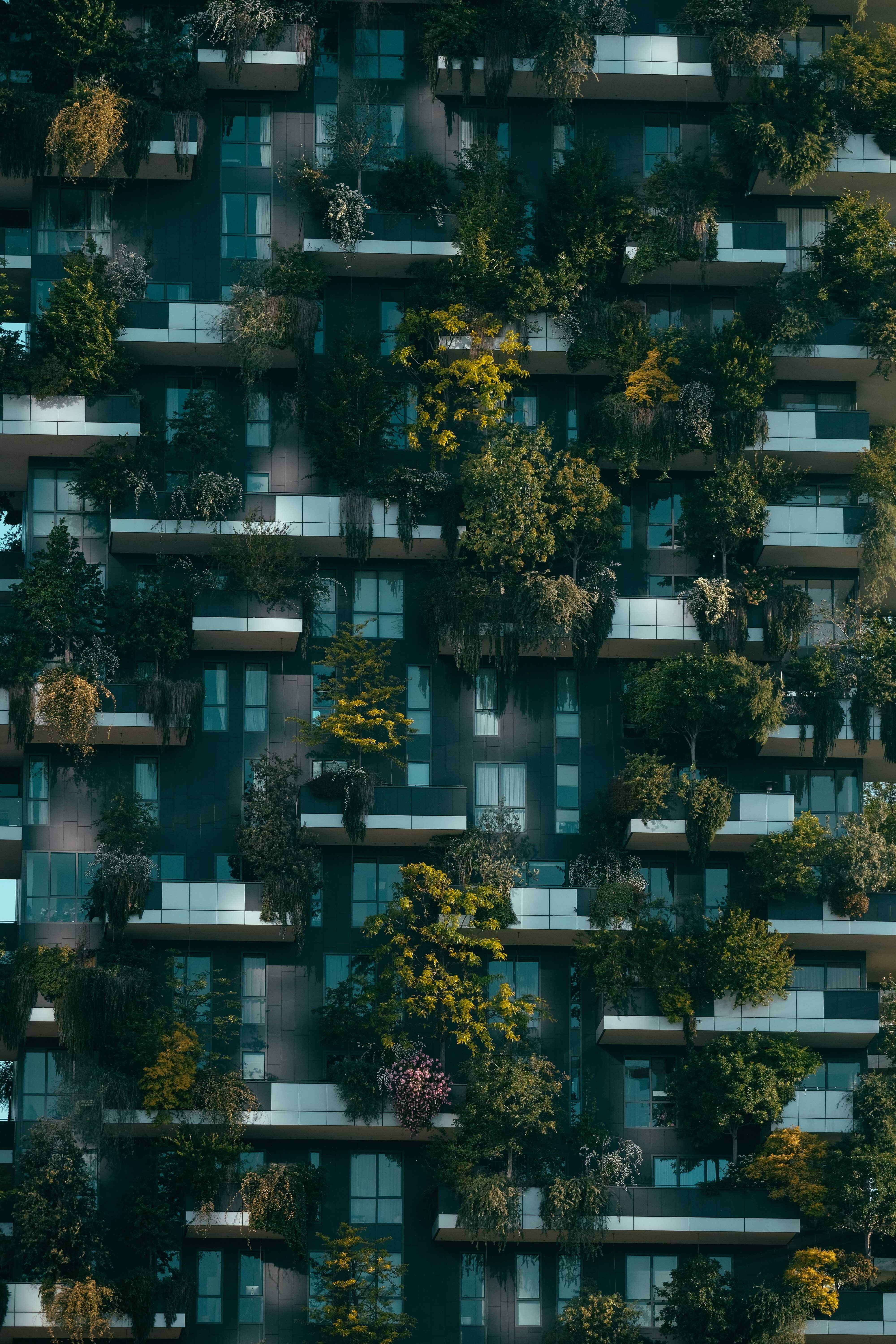 Plants On The Building Wallpaper — A modern high-rise building covered in lush greenery with trees and plants growing from every balcony creating a vibrant vertical forest.
