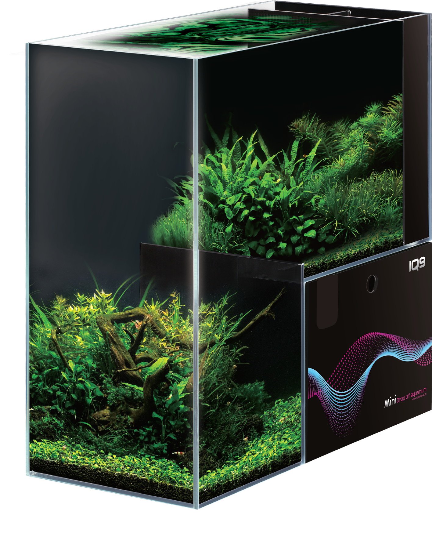 Planted Aquarium Cube Design PNG