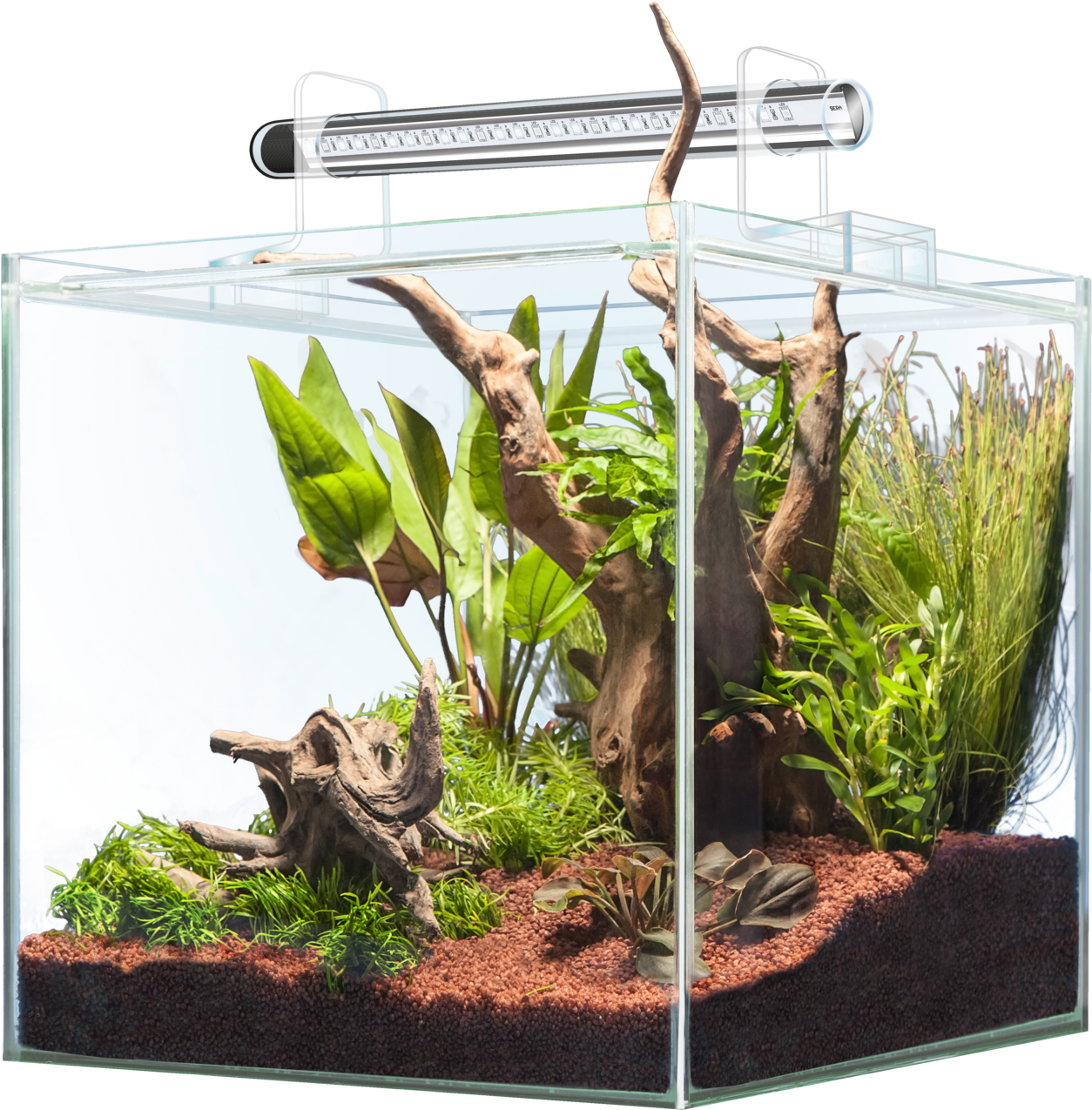 Planted Aquarium Setup PNG