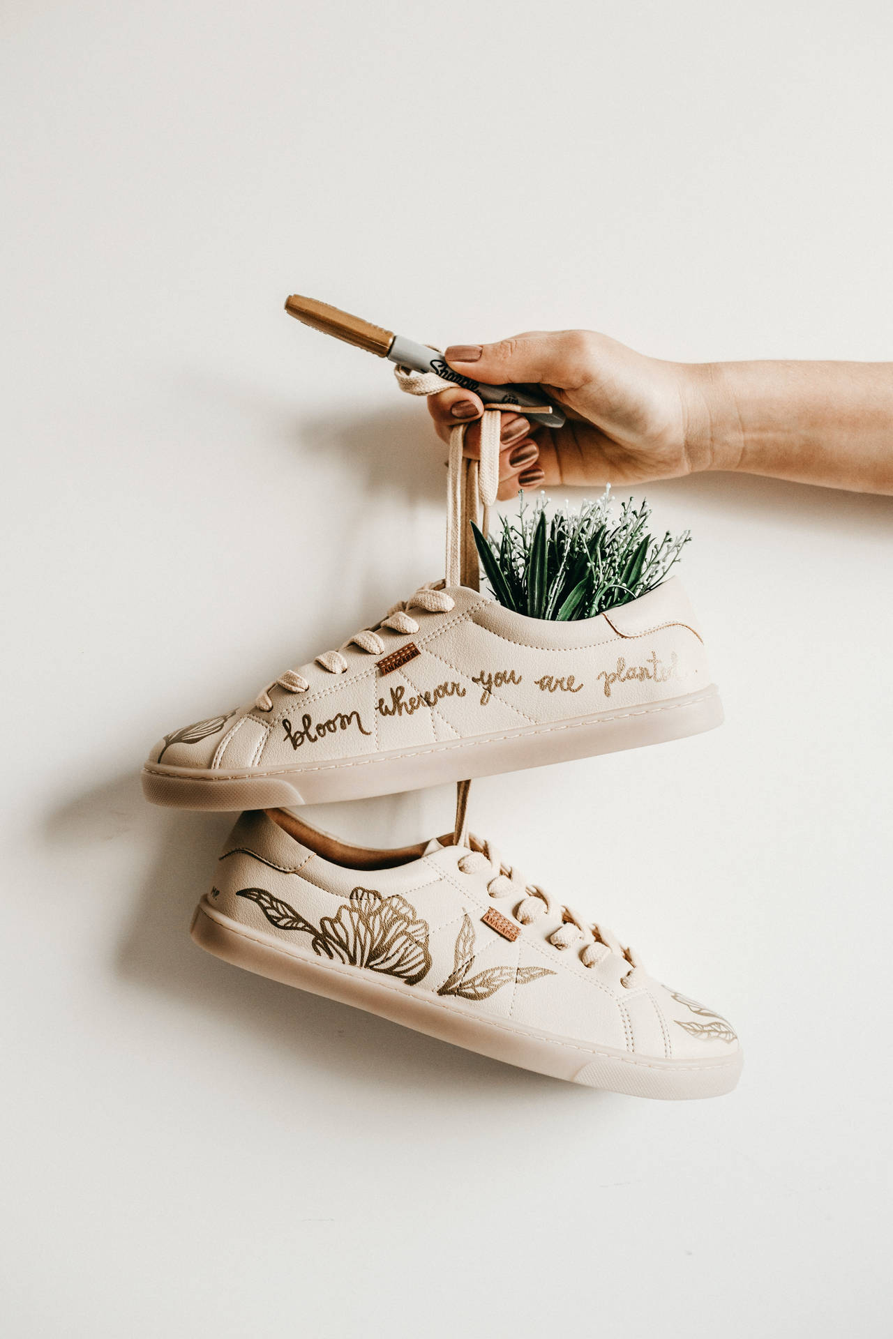 Plants In Shoes