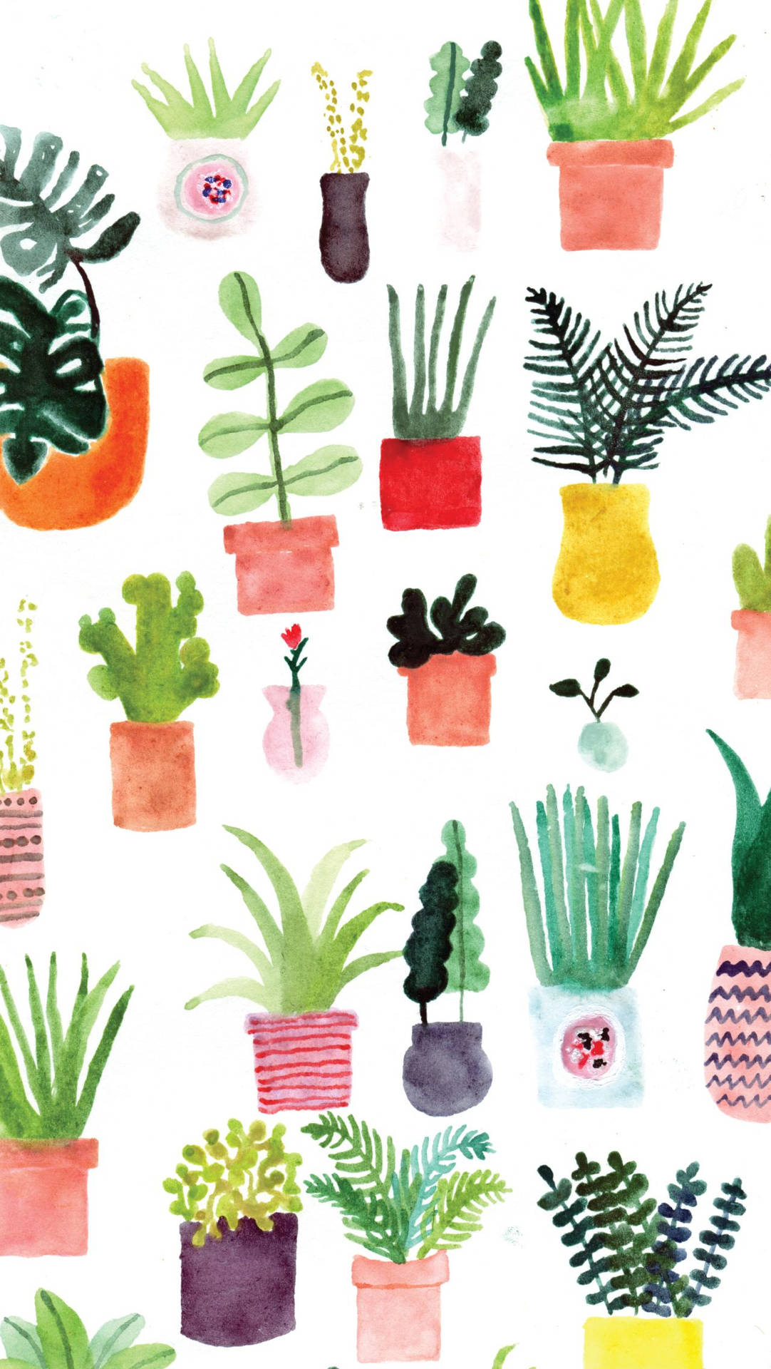 Illuminala Tua Vita Con Questa Vivace Wallpaper Per Iphone Plants Sfondo