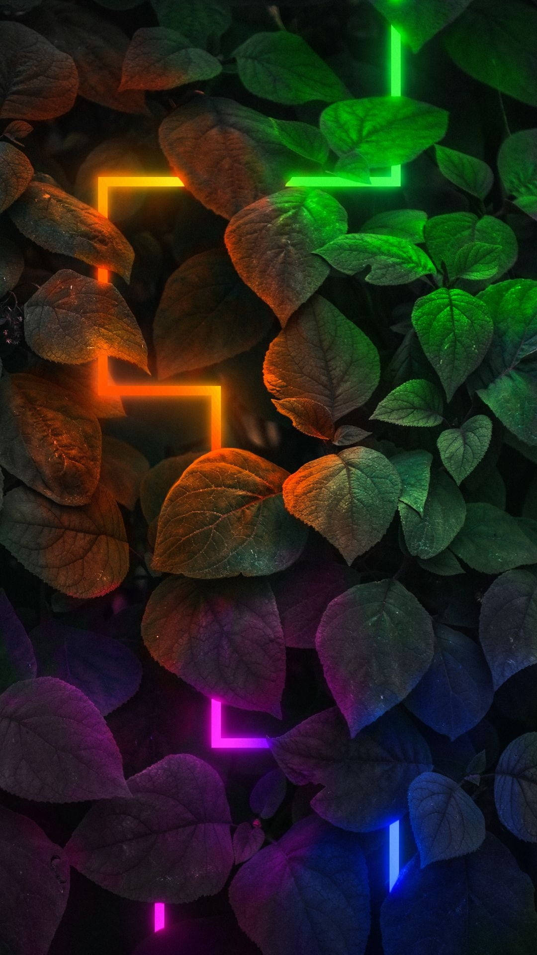 Plants Neon Aesthetic Iphone Wallpaper