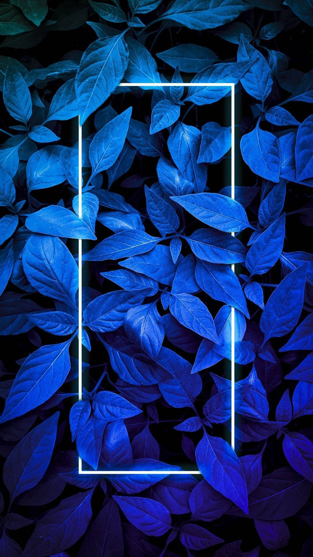 Pflanzenneon Blau Iphone Wallpaper