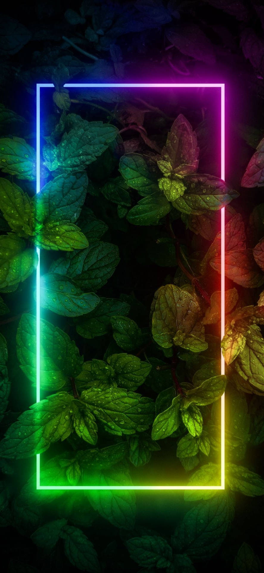 Pflanzenmit Neonfarbener Umrandung, Ästhetisch Für Das Iphone. Wallpaper
