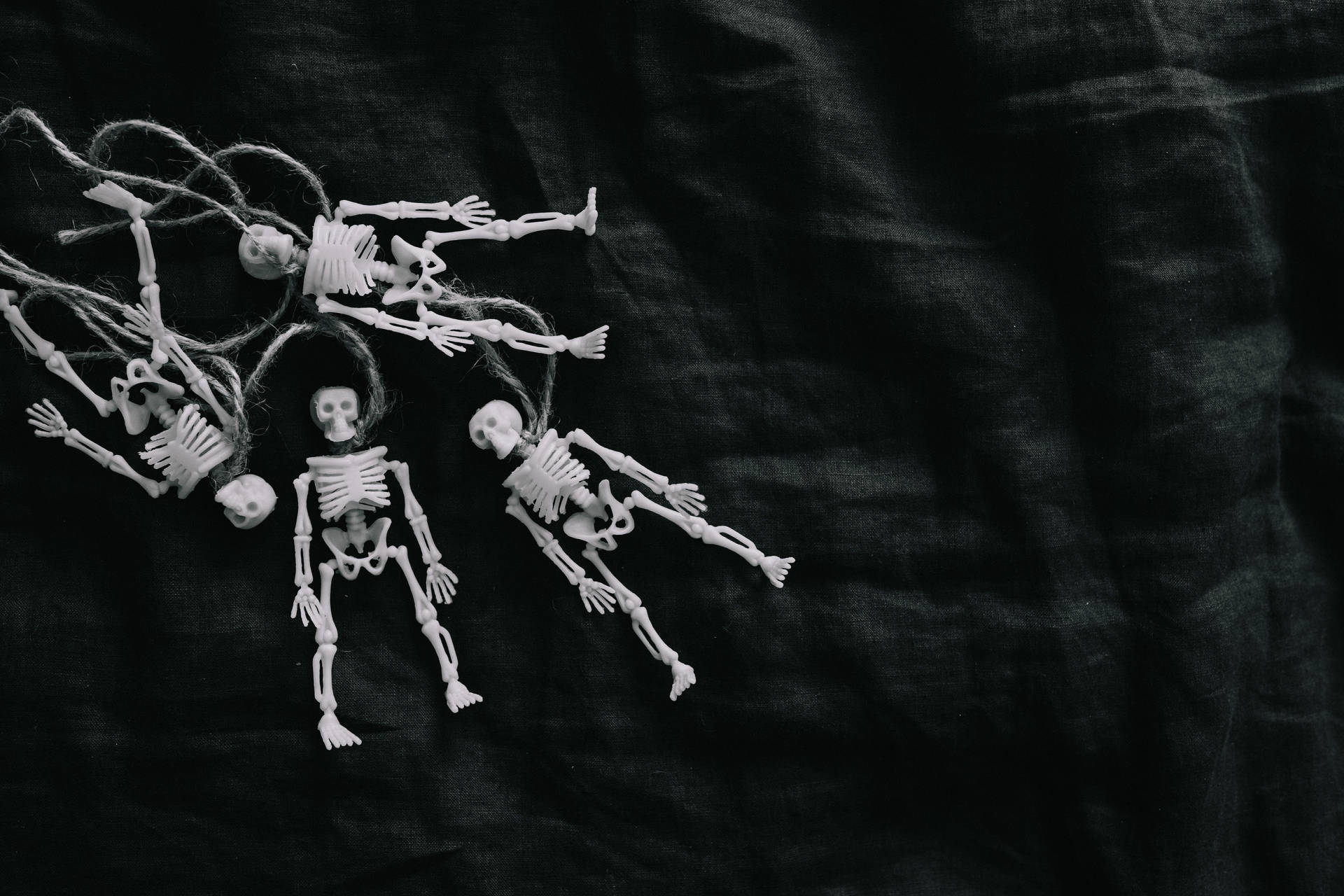 Plastic Figures Skeleton Desktop Wallpaper