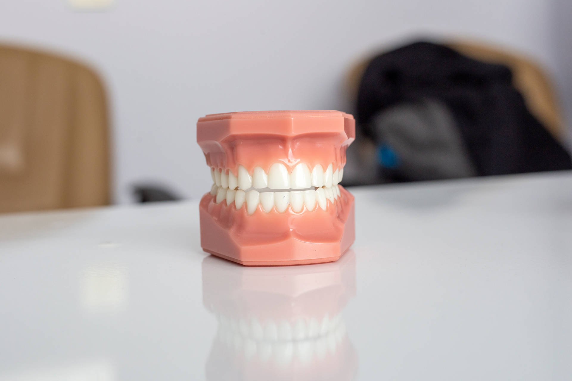 Plastic Model Of Teeth Dentistry Wallpaper