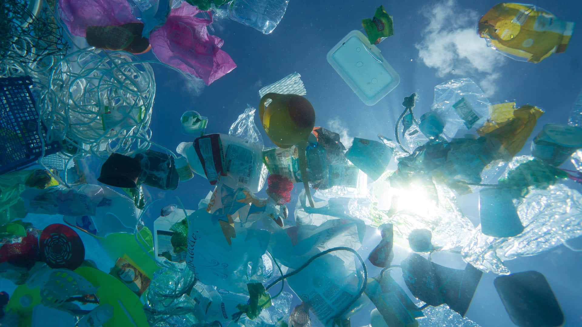 Plastic Wastes In The Ocean Wallpaper