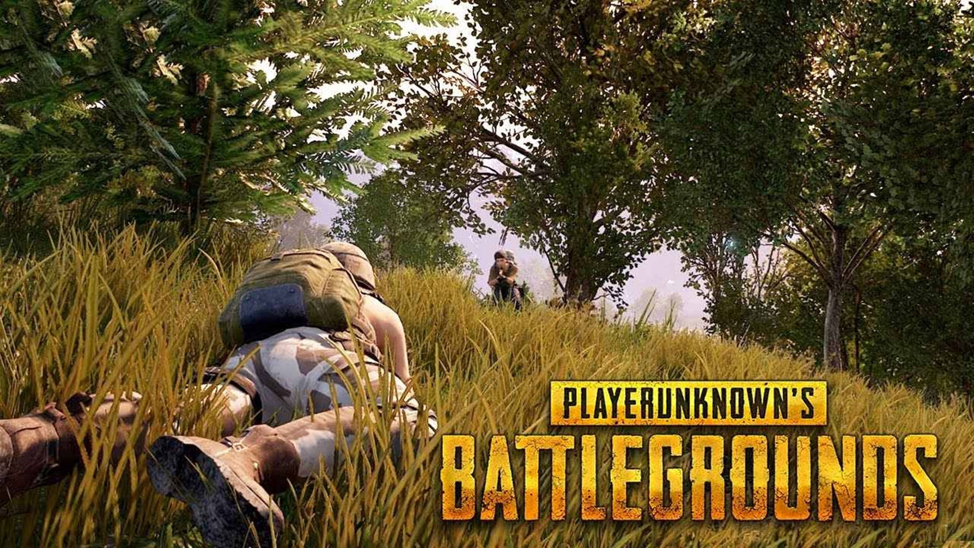 Player Hiding in the Grass in Battleground HD Wallpaper