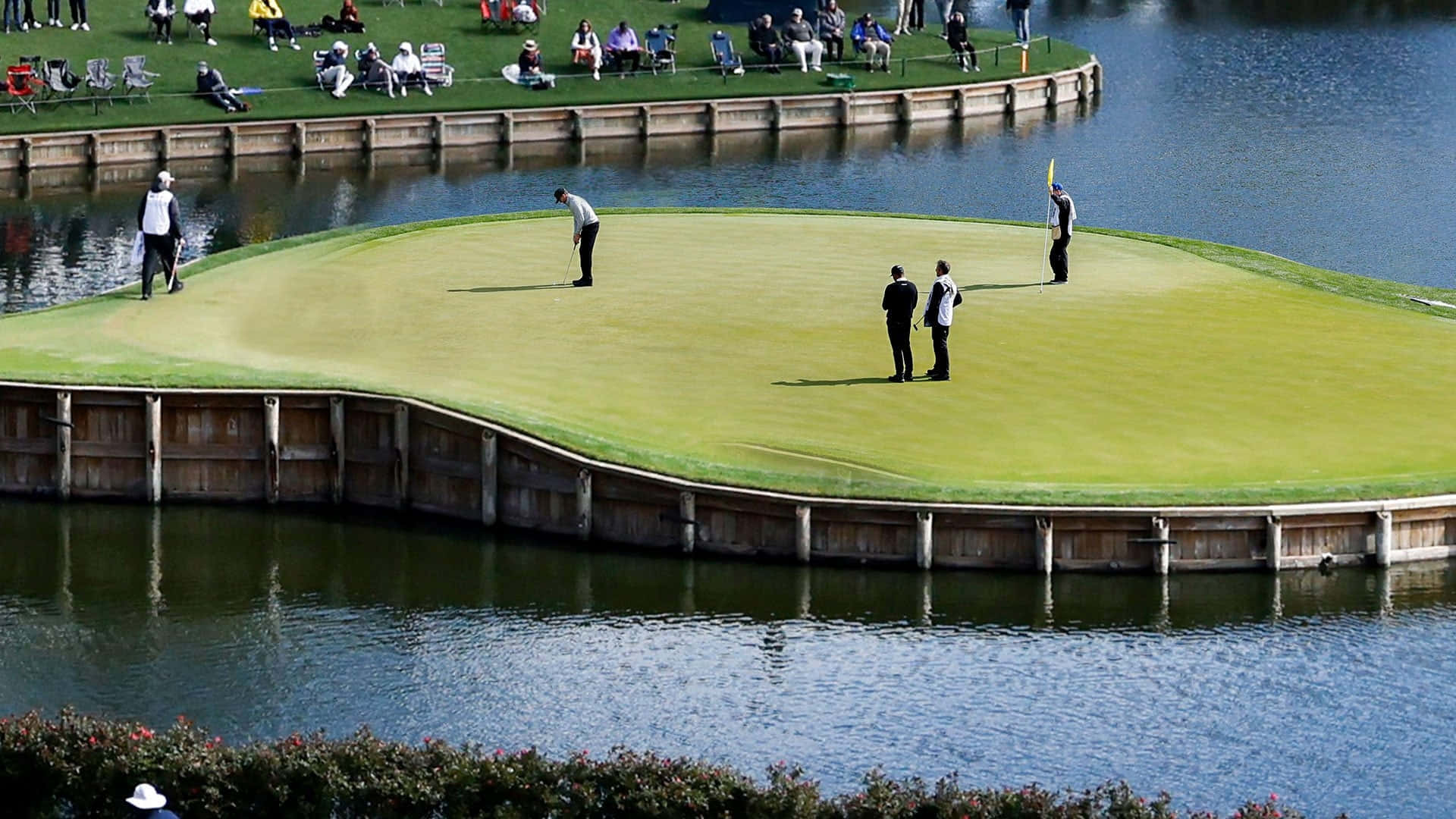 Players Championship Island Green Golf Achtergrond