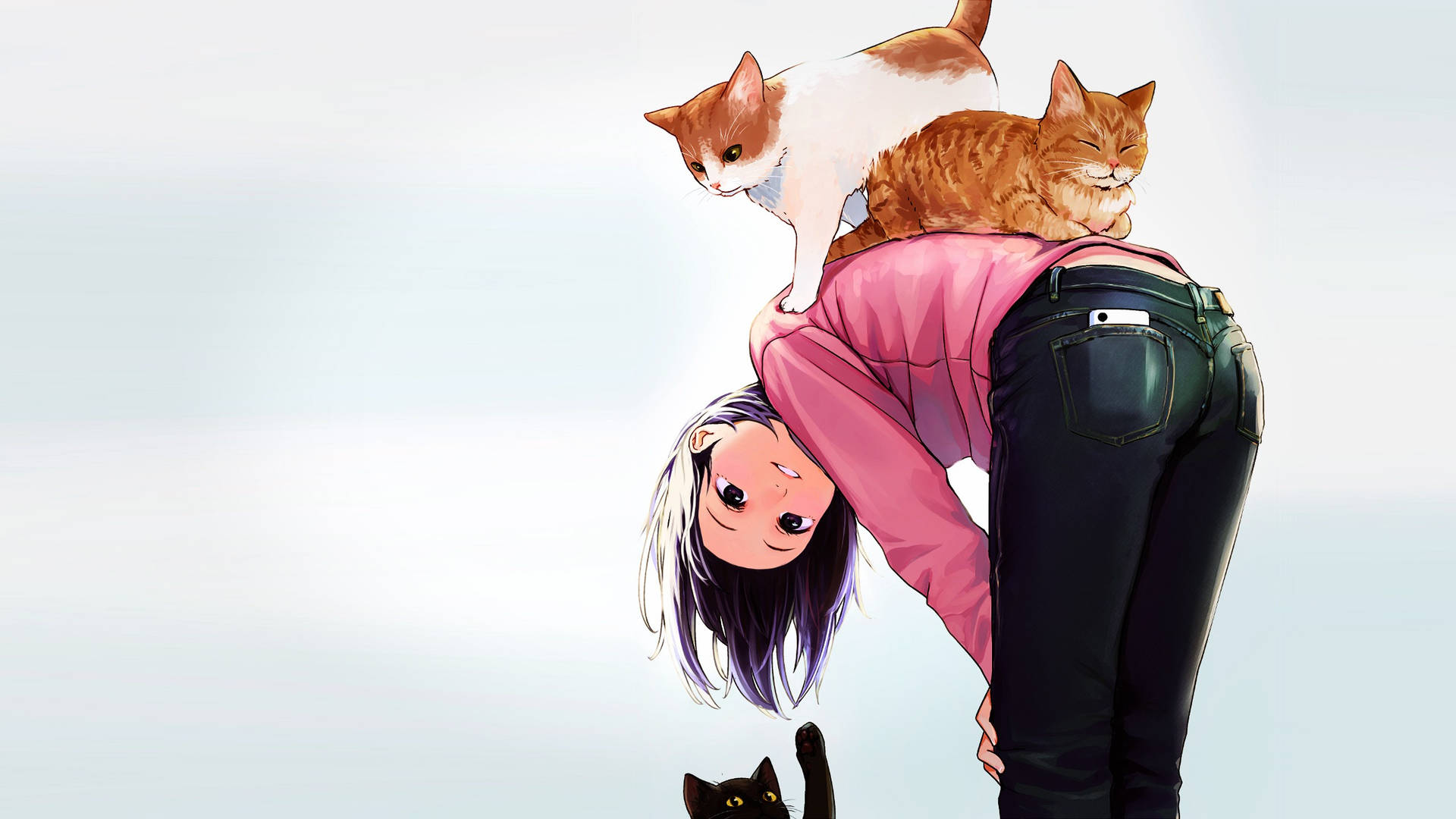 Playful Anime Cats And Owner Wallpaper