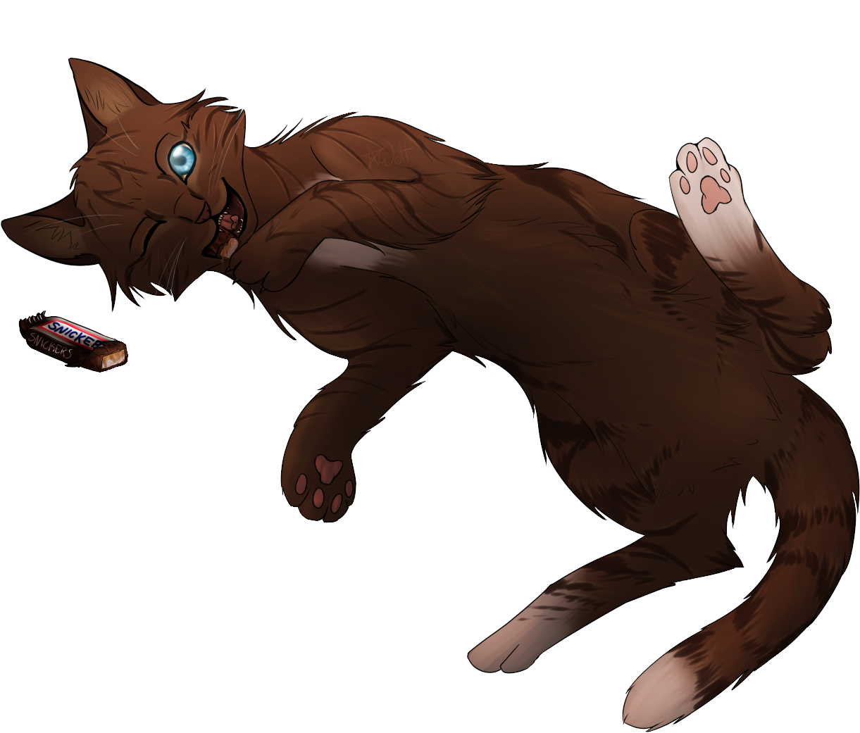 Playful Brown Cat With Snickers Bar PNG
