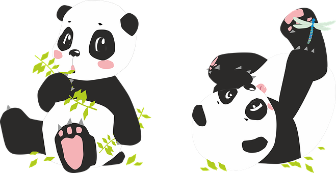 Playful Cartoon Pandas PNG