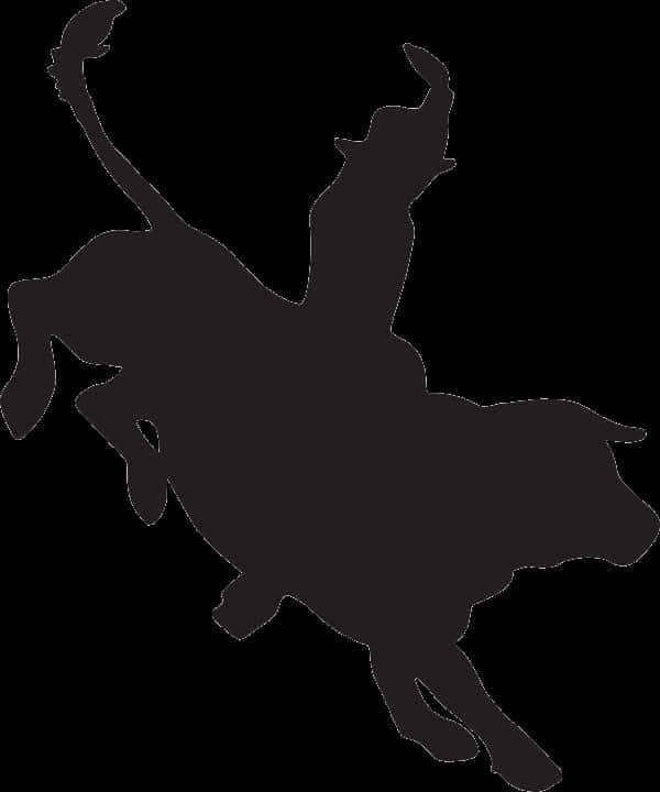 Playful Cat Silhouette PNG