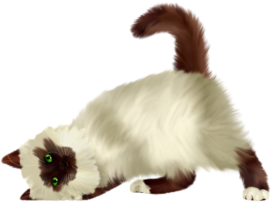 Playful Cat Stretching PNG