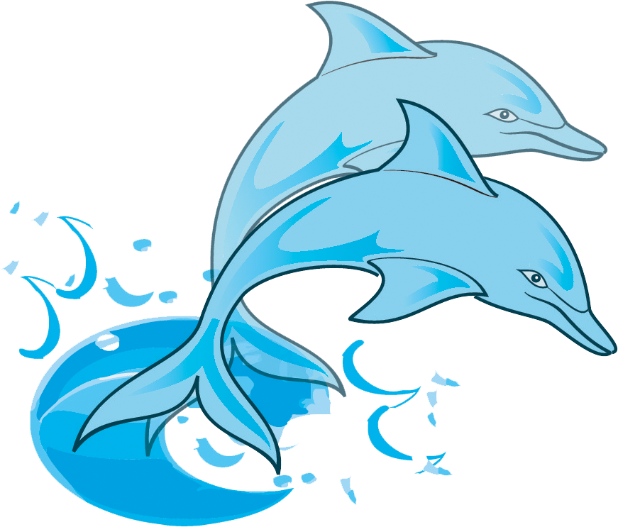 Download Playful Dolphins Graphic Wallpapers Com