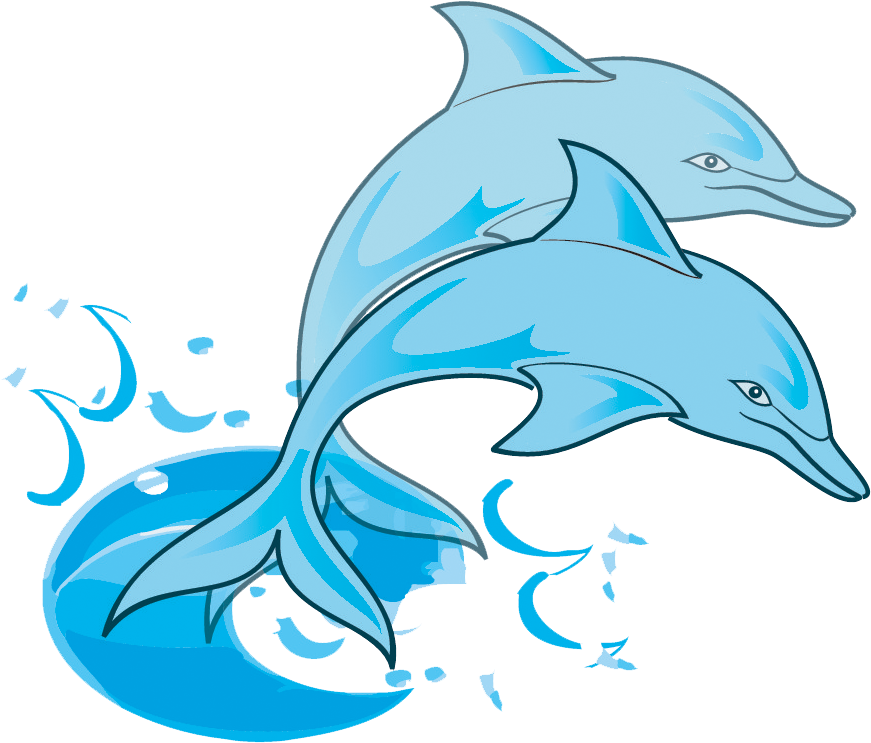 Playful Dolphins Graphic PNG