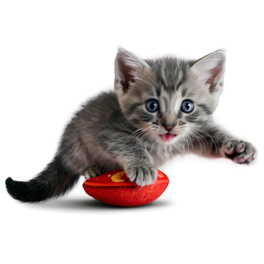 Playful Grey Kitten Png 06252024 PNG