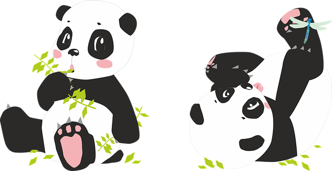 Playful Panda Cartoons PNG