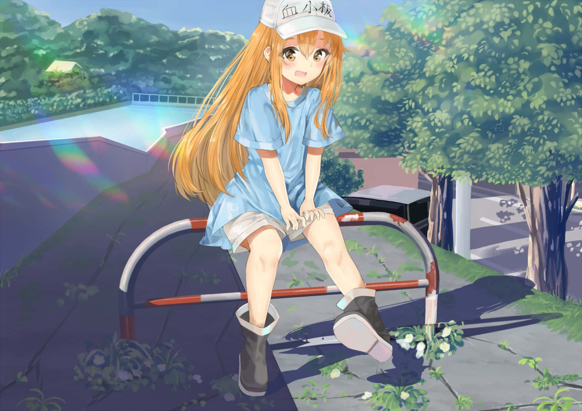 Playful Platelets From Cells At Work Animation Wallpaper