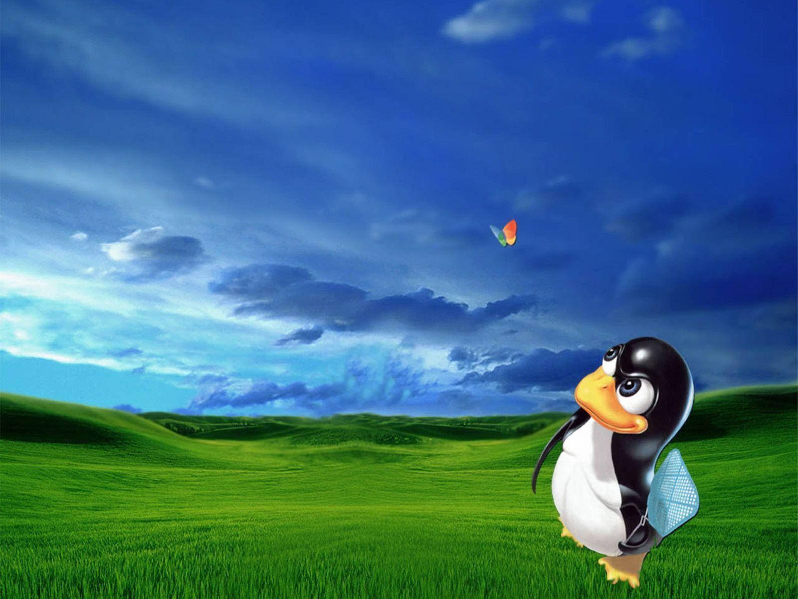 Playful Tux Linux Desktop Graphic Layout Background