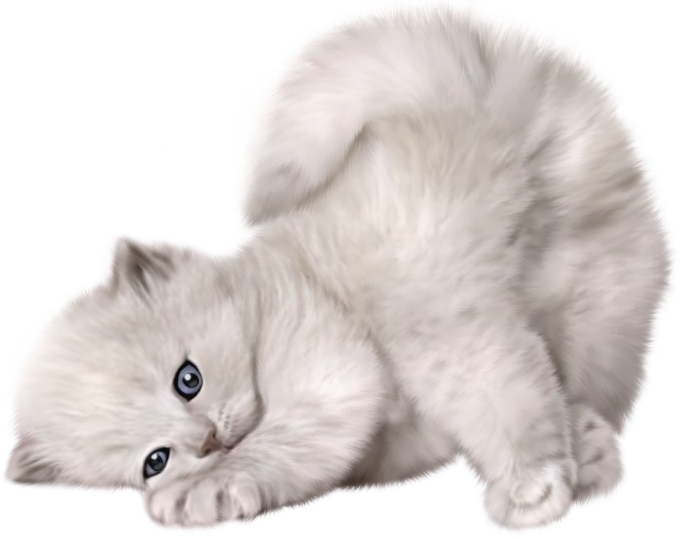 Playful White Kitten Lying Down PNG