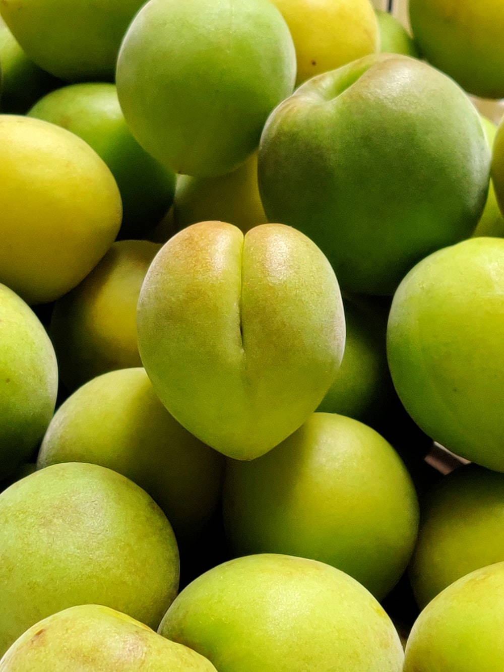 Variegatogiapponese Di Frutta In Tonalità Verde Prugna. Sfondo