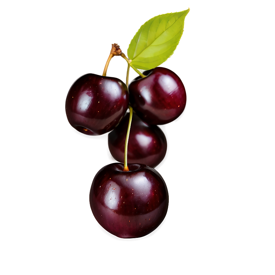 Plump Black Cherry Png Eln3 PNG