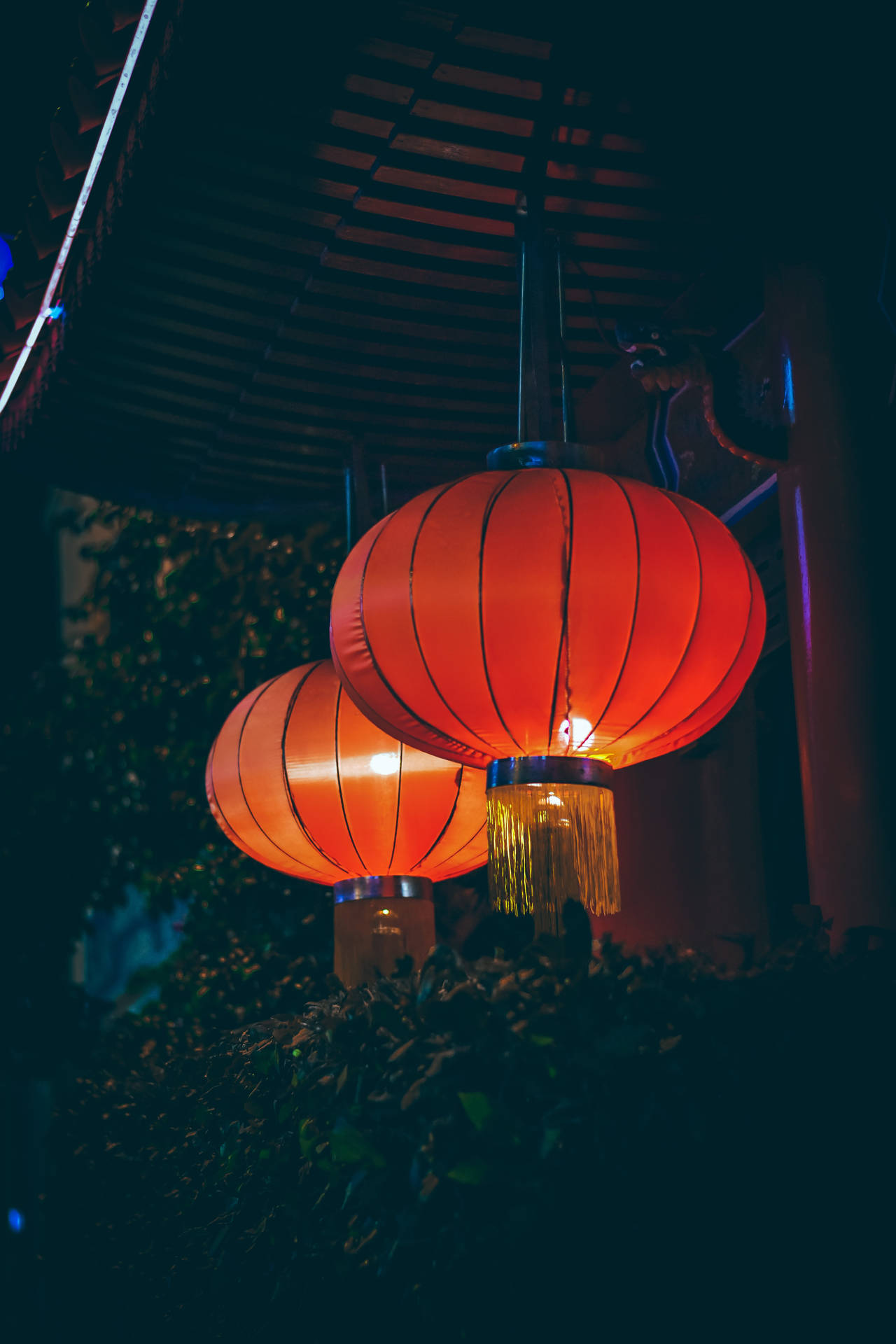 Plump Chinese Lanterns Wallpaper