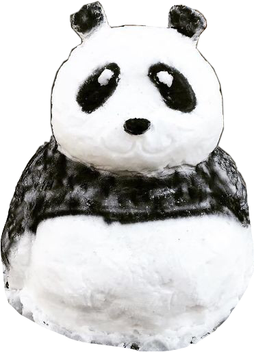 Plush Panda Toy Portrait PNG